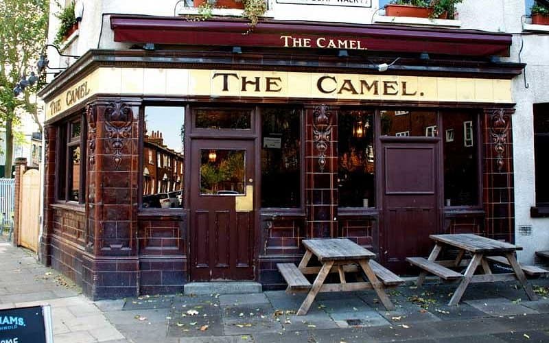 The Camel