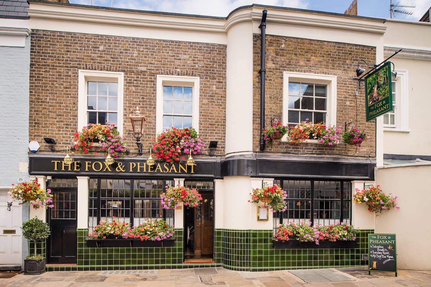 The Fox and Pheasant