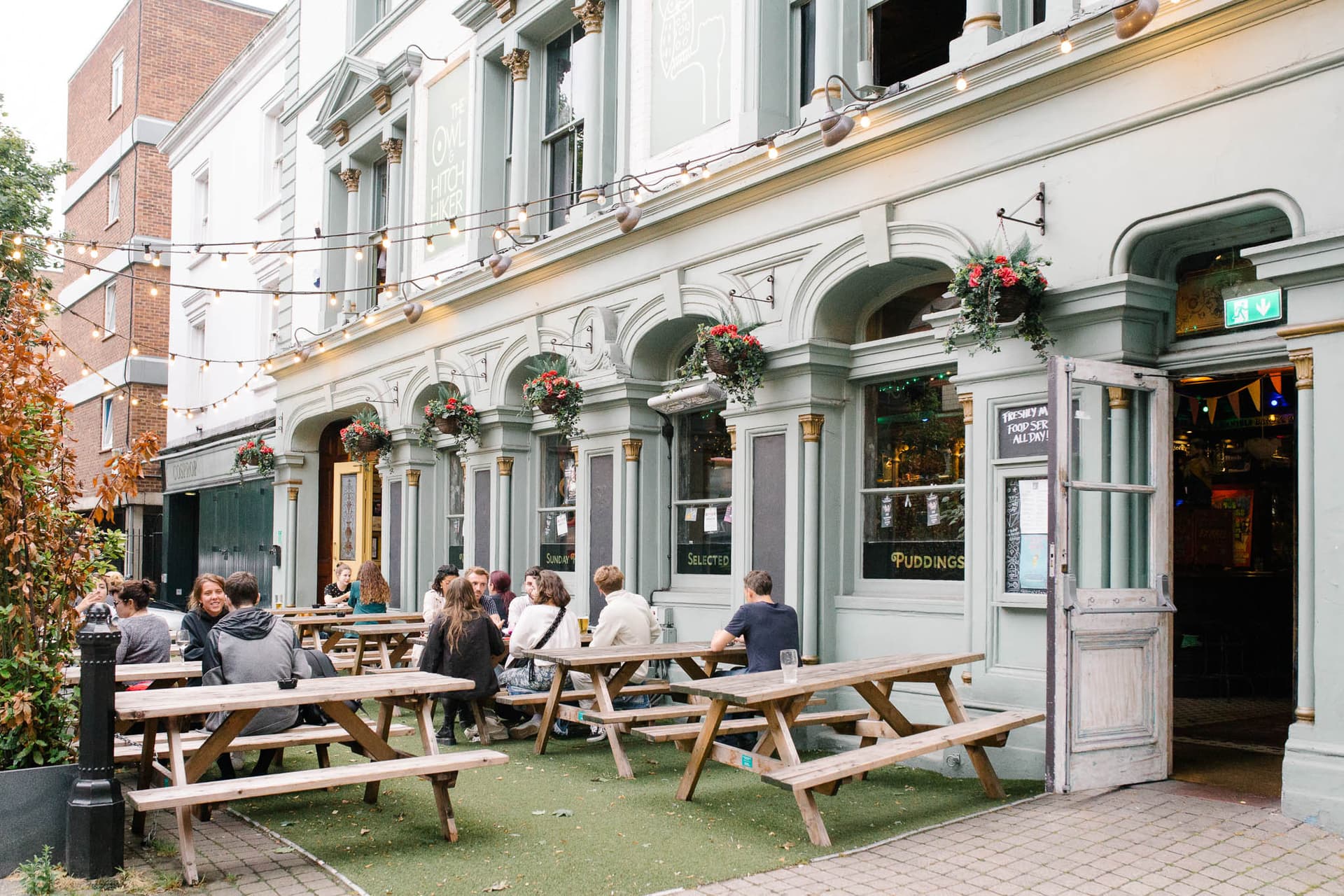 The Owl & Hitchhiker