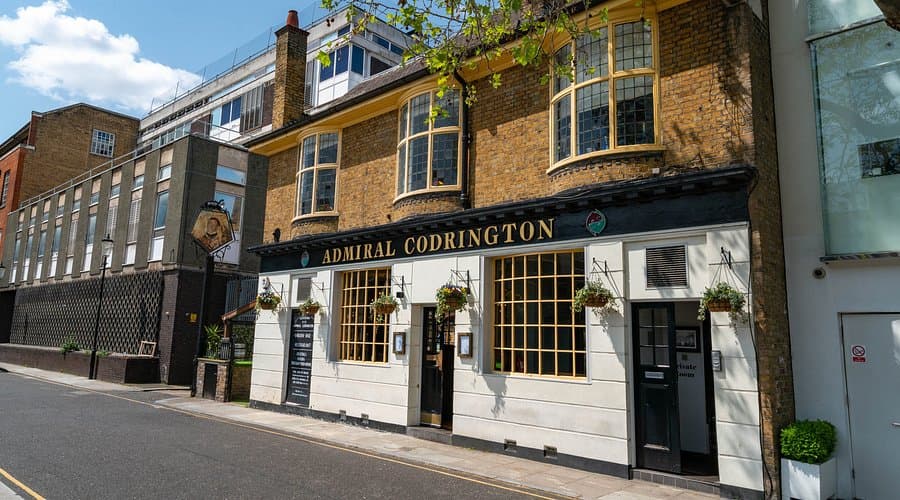 The Admiral Codrington